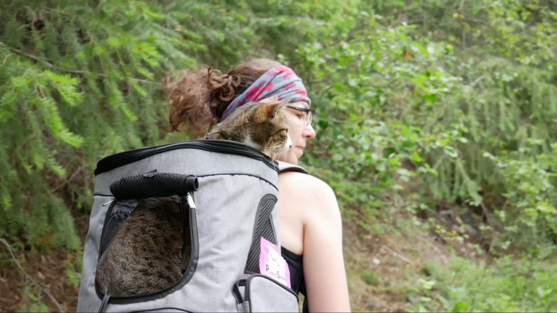 Benny rides on Mel's back in his backpack on the trail at Skihist Provincial Park, British Columbia, Canada. 
