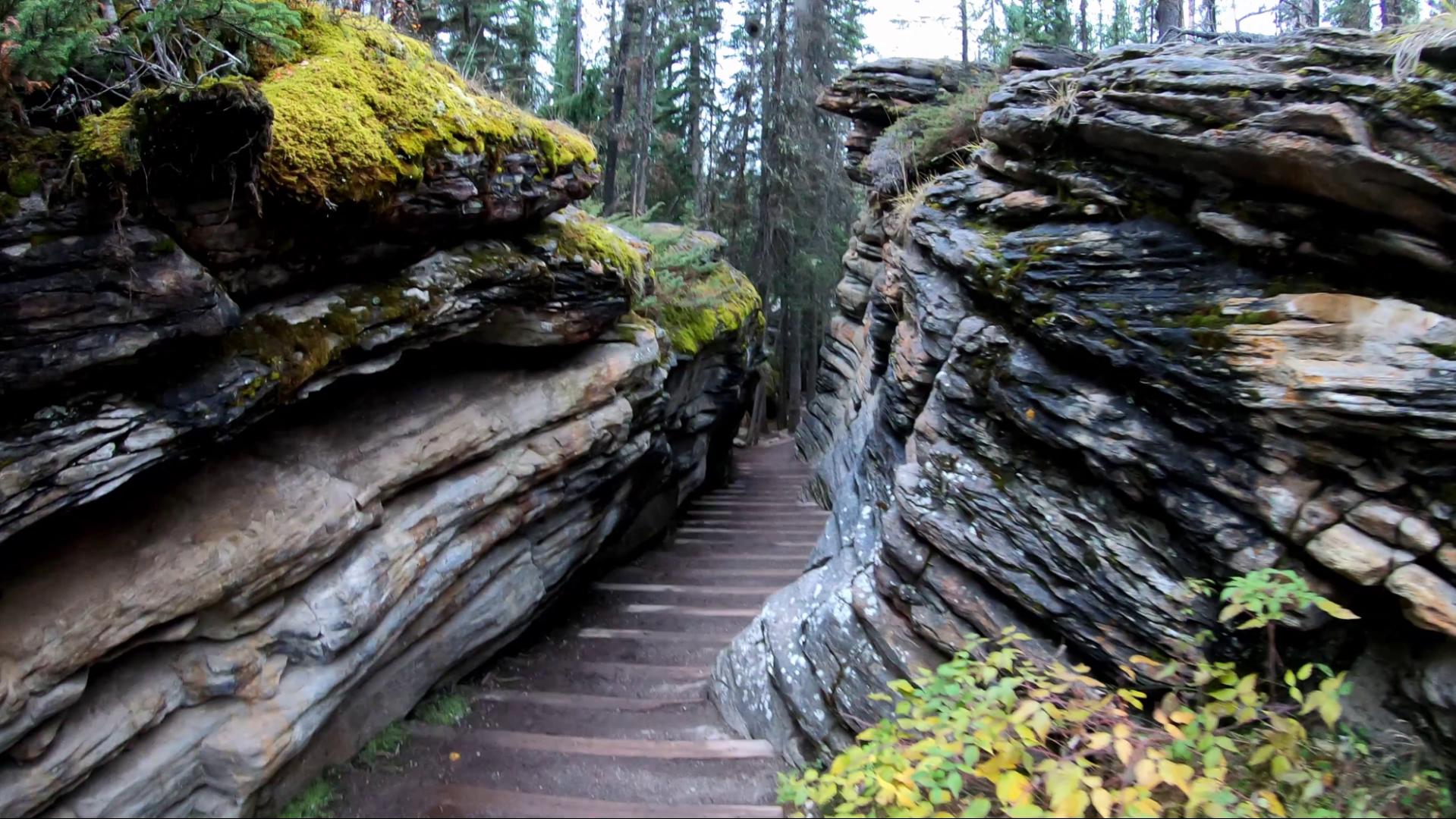 Canyon pathway at the Athabasca Falls on the Icefields Parkway between Jasper and Banff National Parks in Alberta, Canada. 