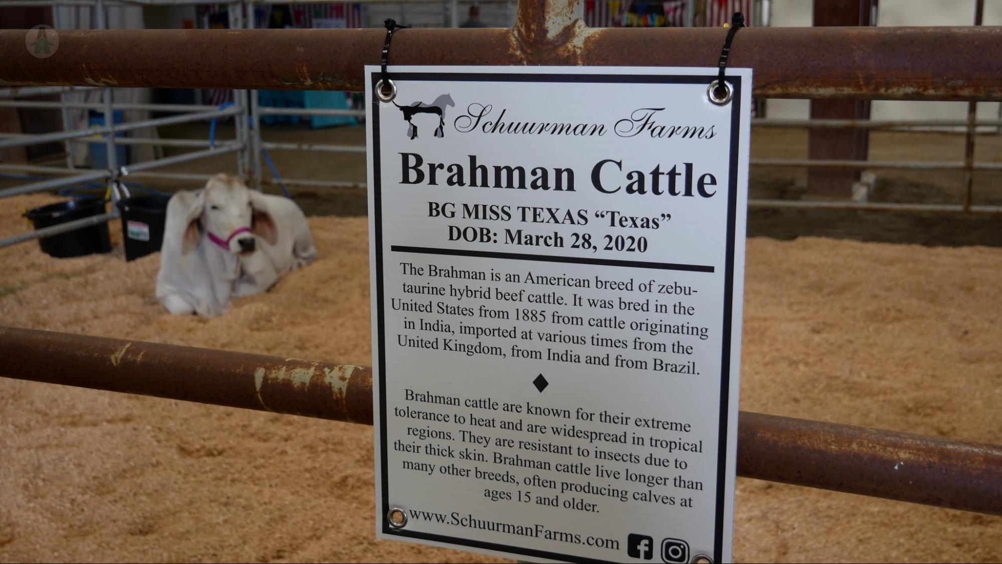 An educational exibit at the Chilliwack Fair 2021