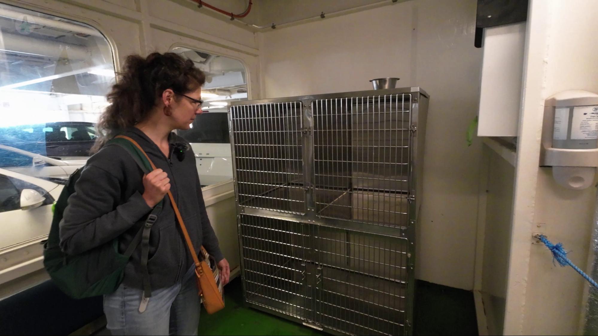 BC Ferries Pet Area Mel looking at the pet area on a BC ferry. There is a metal kennel, poo bags, and water available.